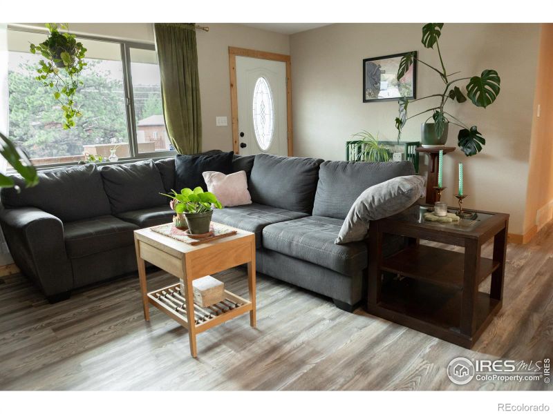 1015 Sundance St, Woodland Park, CO 80863