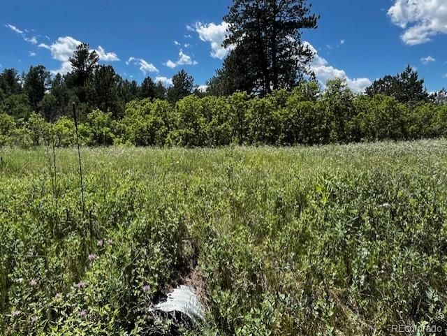6993 Cinque Tail Dr, Larkspur, CO 80118
