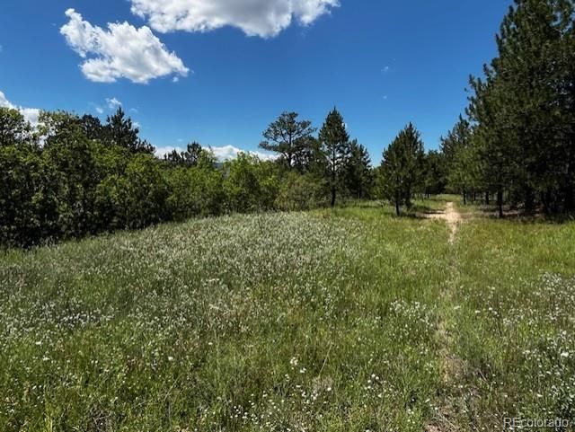 6993 Cinque Tail Dr, Larkspur, CO 80118