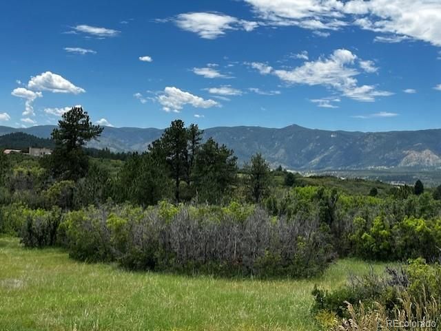 6319 Balsamroot Rd, Larkspur, CO 80118