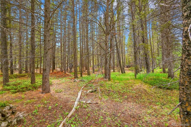 Lot 7 Silver Creek Rd, Idaho Springs, CO 80452
