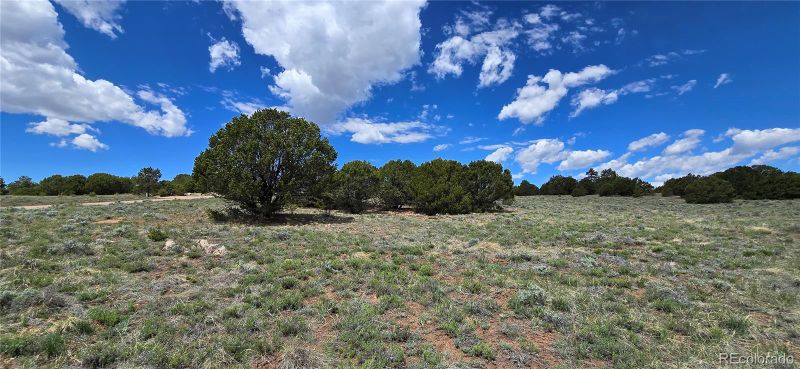 391 Shawnee Trl, Westcliffe, CO 81252