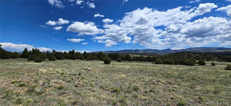 391 Shawnee Trl, Westcliffe, CO 81252