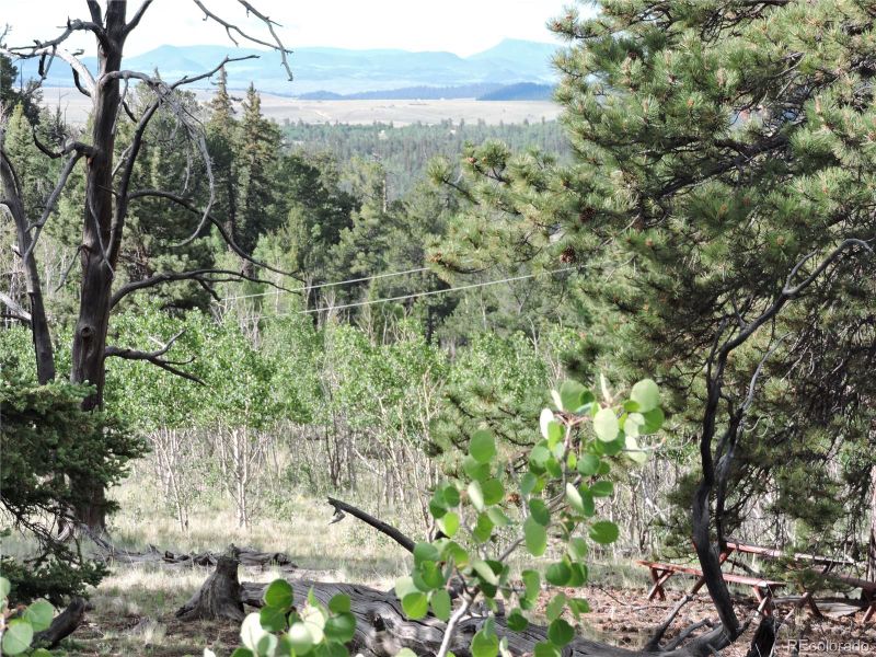 146 Folsom Ln, Como, CO 80432