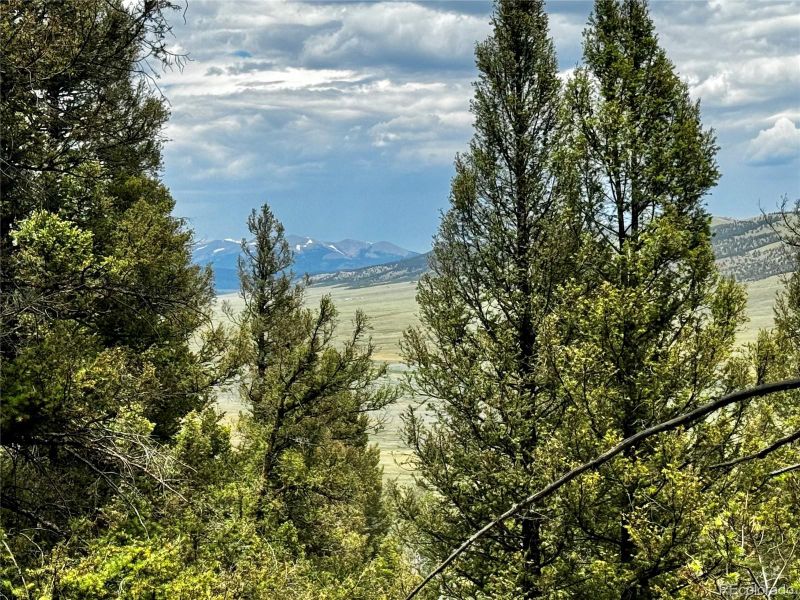 1063 Redhill Rd Lot 342, Fairplay, CO 80440