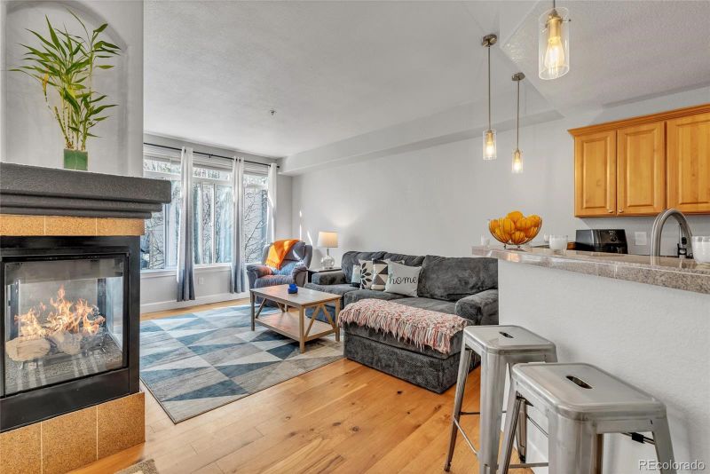 1735 N Ogden St #205, Denver, CO 80218