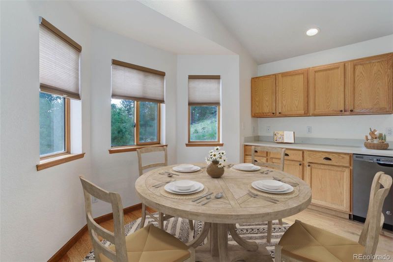45 Catamount Ridge Rd, Bailey, CO 80421