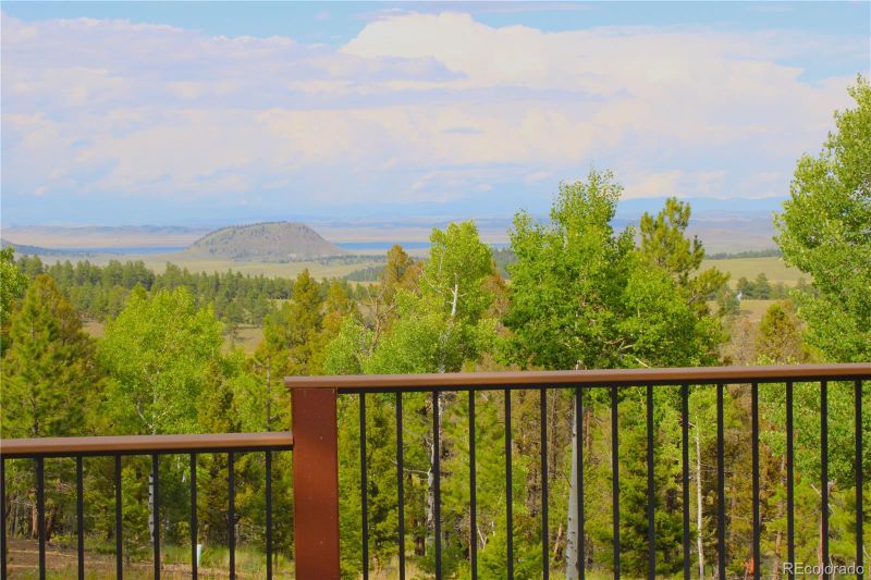 946 Singletree Rd, Hartsel, CO 80449