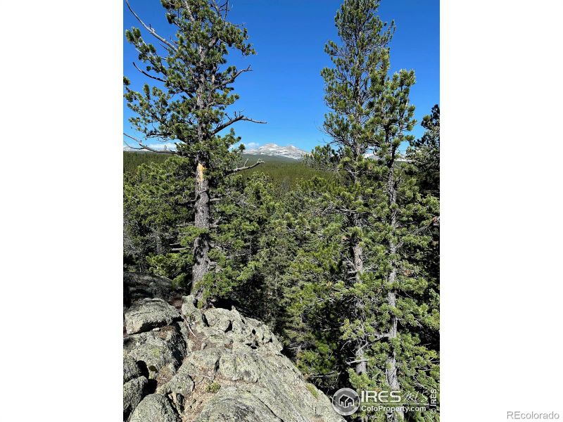 0 Pine Cone Cir Lot 46, Allenspark, CO 80540
