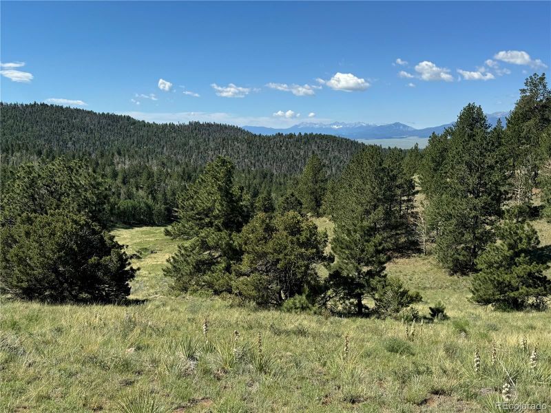 536 Nightshade Dr, Westcliffe, CO 81252