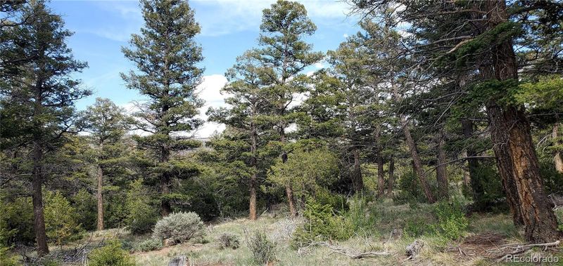 5003 Kermit Rd, Fort Garland, CO 81133