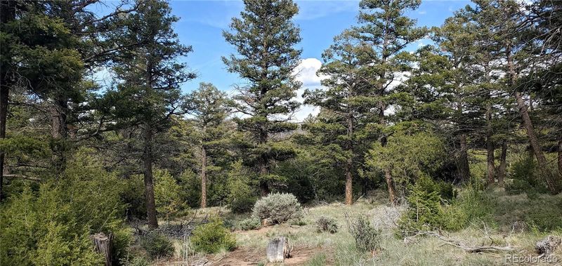 5003 Kermit Rd, Fort Garland, CO 81133