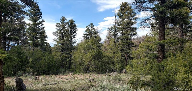 5003 Kermit Rd, Fort Garland, CO 81133
