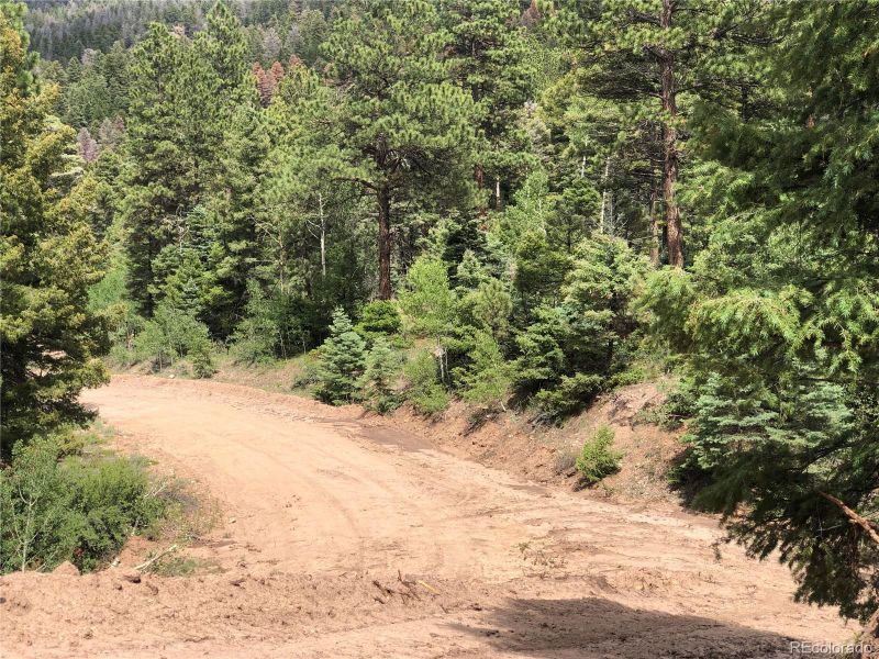 00 Whittney Rd, Fort Garland, CO 81133