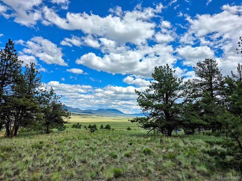 2528 Oxford Dr, Hartsel, CO 80449