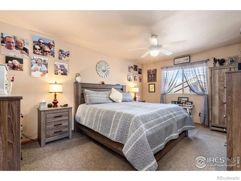 775 2nd St, Windsor, CO 80550