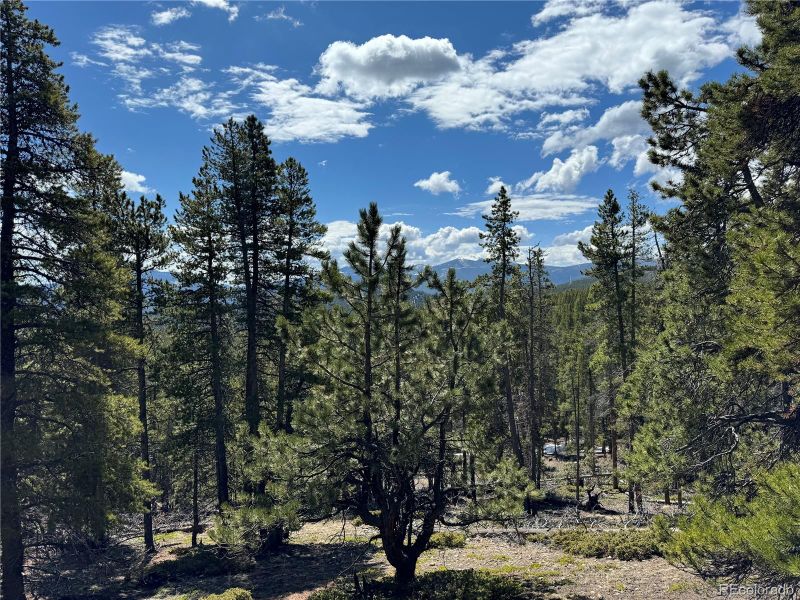 01 Miners Candle Rd, Idaho Springs, CO 80452