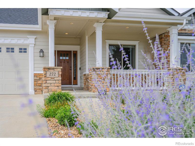 272 Saratoga Dr, Windsor, CO 80550