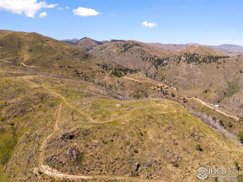 499 Helms Deep Rd, Bellvue, CO 80512