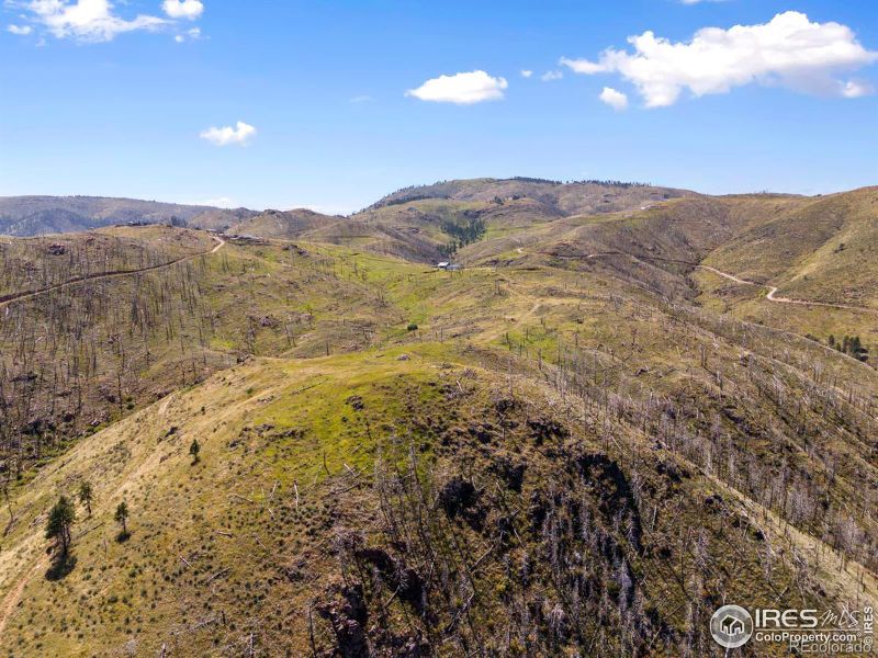 499 Helms Deep Rd, Bellvue, CO 80512