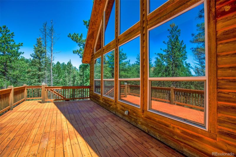 398 Remwood Cir, Divide, CO 80814