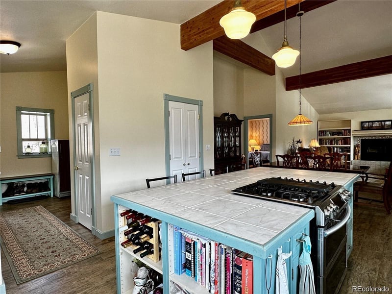 48 Lang St, Twin Lakes, CO 81251