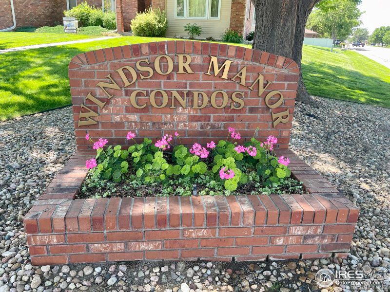 1265 Honeysuckle Ct, Windsor, CO 80550