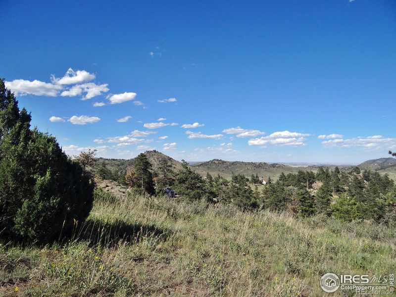 1019 Montcalm Dr, Livermore, CO 80536