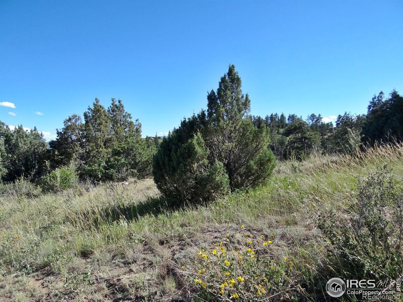 1019 Montcalm Dr, Livermore, CO 80536