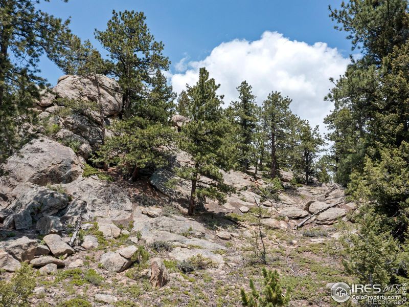 85 Country Sky Ln, Estes Park, CO 80517