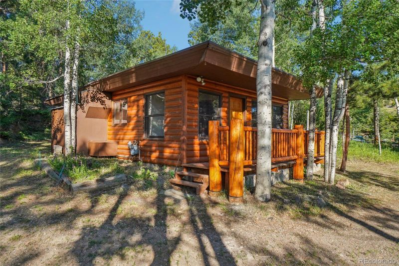 31746 Lillis Pl, Golden, CO 80403