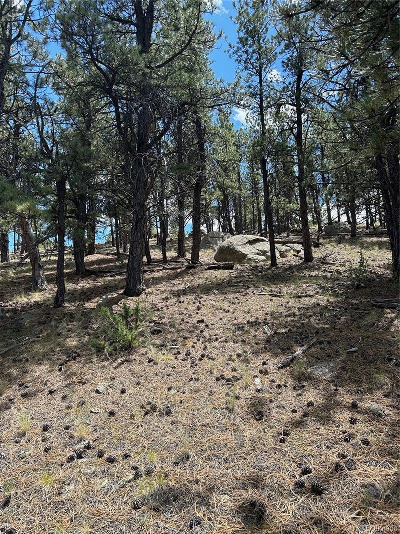164 Lazy Cir Lot 3, Hartsel, CO 80449
