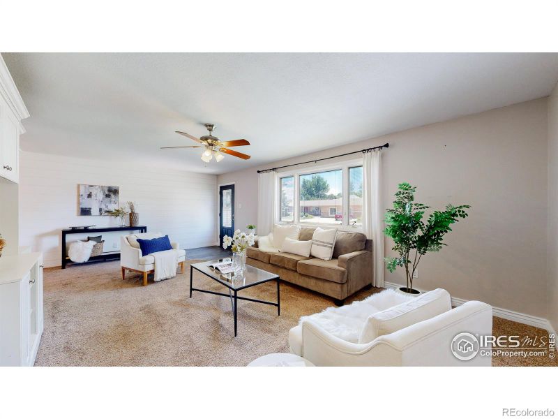 216 10th St, Windsor, CO 80550