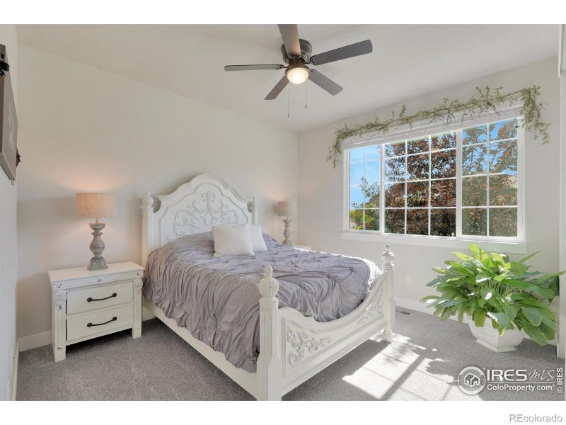 280 Mt Harvard Ave, Severance, CO 80550