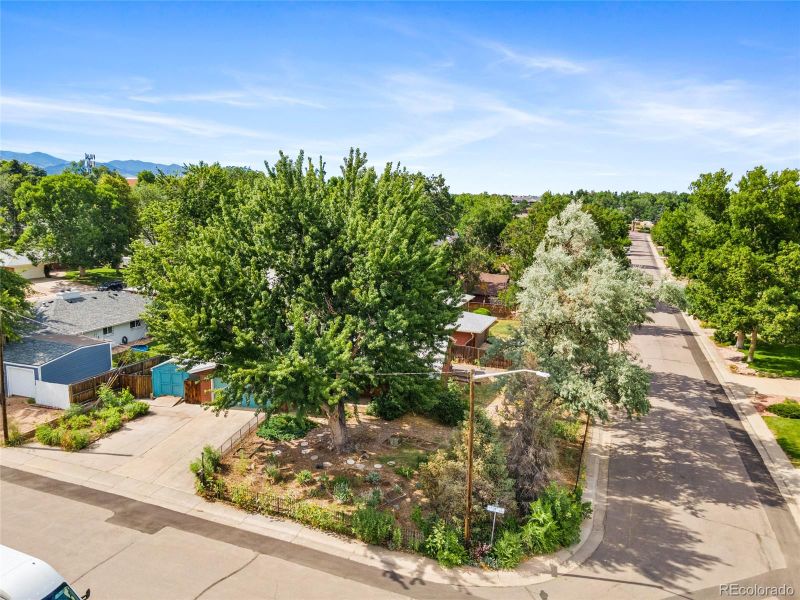 12505 W 29th Pl, Wheat Ridge, CO 80215