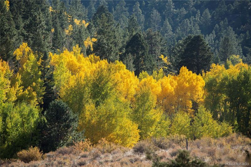 5011 Cr 212, Salida, CO 81201