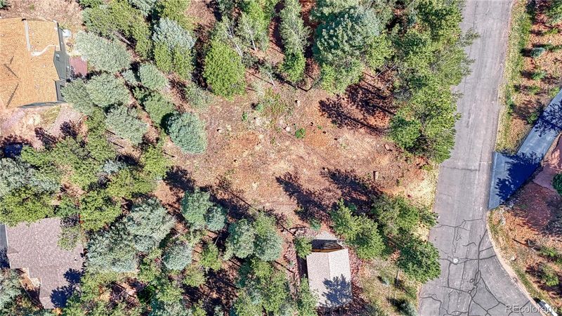 1320 Forest Edge Rd, Woodland Park, CO 80863
