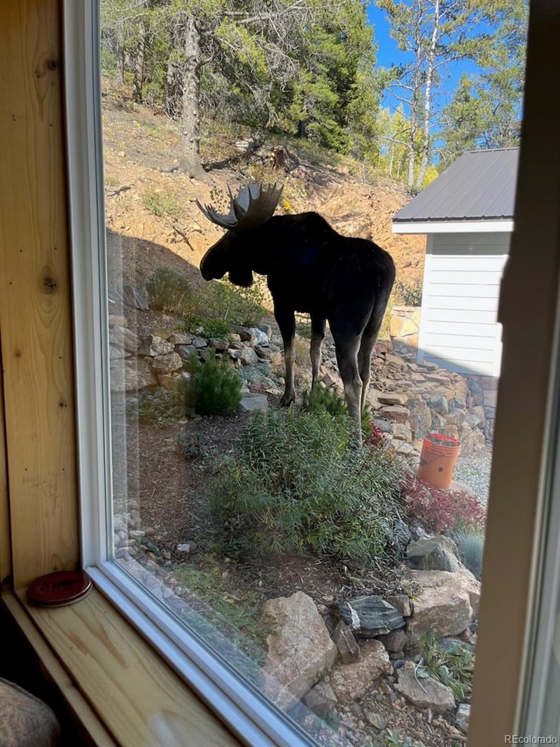 609 Lower Moon Gulch Rd, Rollinsville, CO 80474