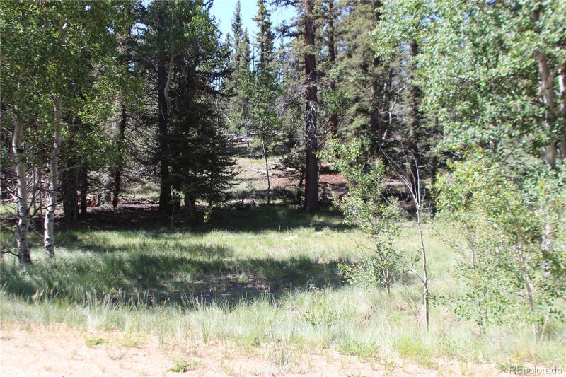 102 Kiwi Ct, Jefferson, CO 80456