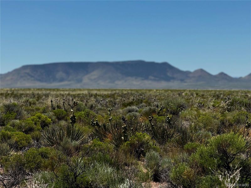 Lot 14 Jane Rd, San Luis, CO 81152