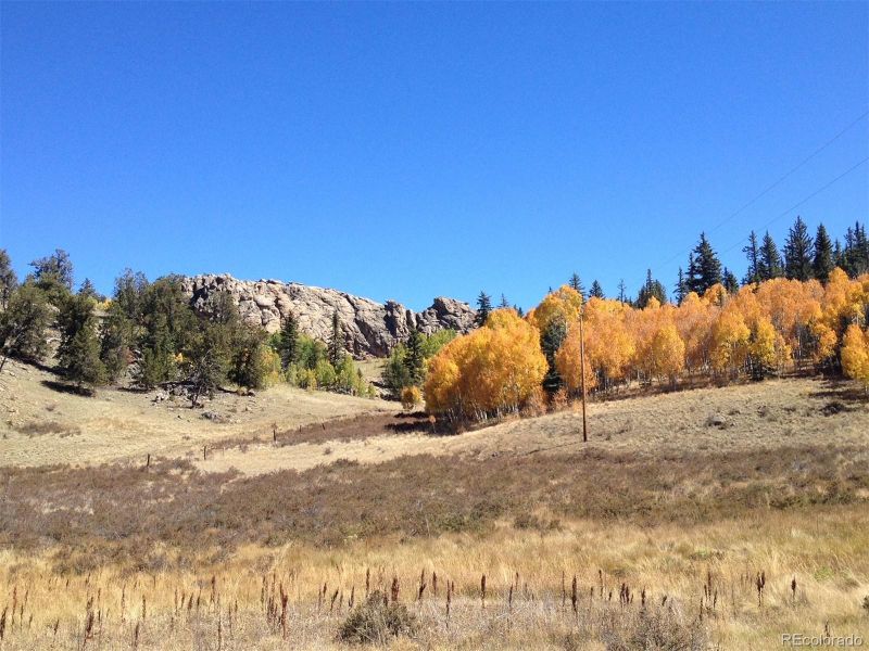 115 Folsom Way, Jefferson, CO 80456