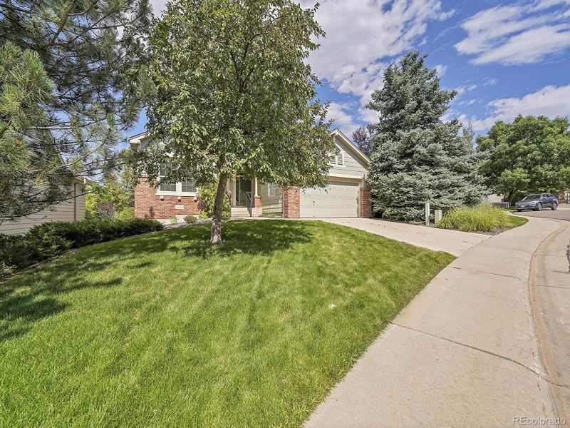 7464 Snow Lily Pl, Castle Pines, CO 80108