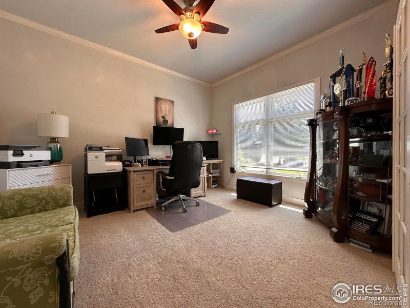 518 Pelican Cv, Windsor, CO 80550