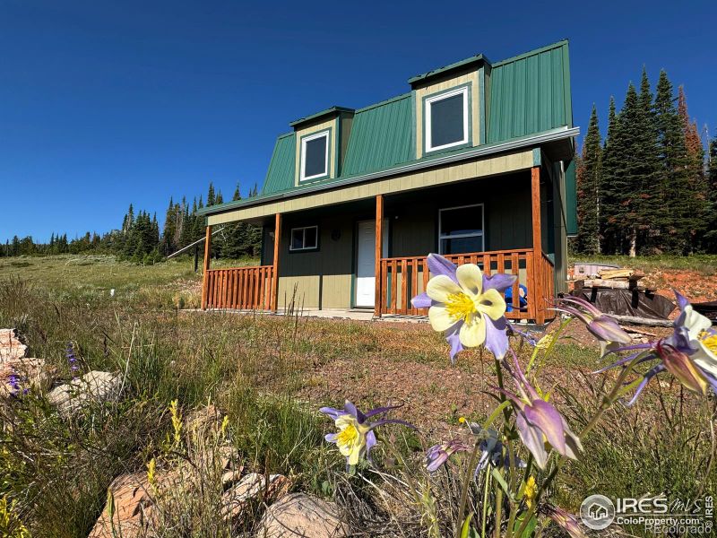 1189 Mountain Ridge Rd, Red Feather Lakes, CO 80545