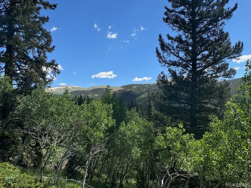 74 Aspen Way, Alma, CO 80420