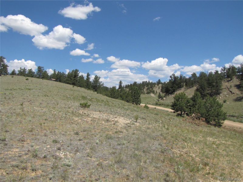 111 Superstition Trl, Hartsel, CO 80449
