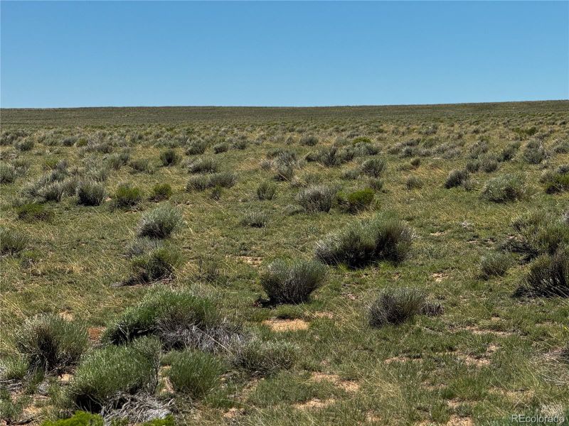Lot 3 Margo Ave, San Luis, CO 81152