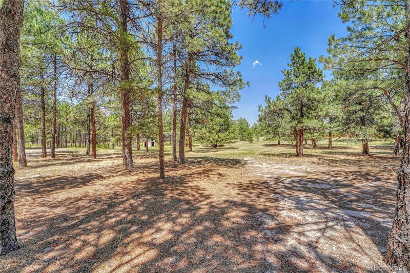 37057 Timber Dr, Elizabeth, CO 80107