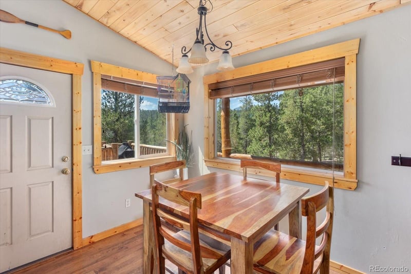 217 Peak View Dr, Twin Lakes, CO 80461