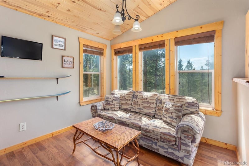 217 Peak View Dr, Twin Lakes, CO 80461